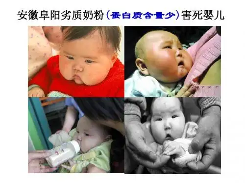 人教版必修一第二章第二节生命活动的主要承担者——蛋白质(共28张PPT)