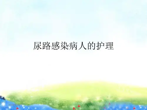 尿路感染患者的护理PPT课件