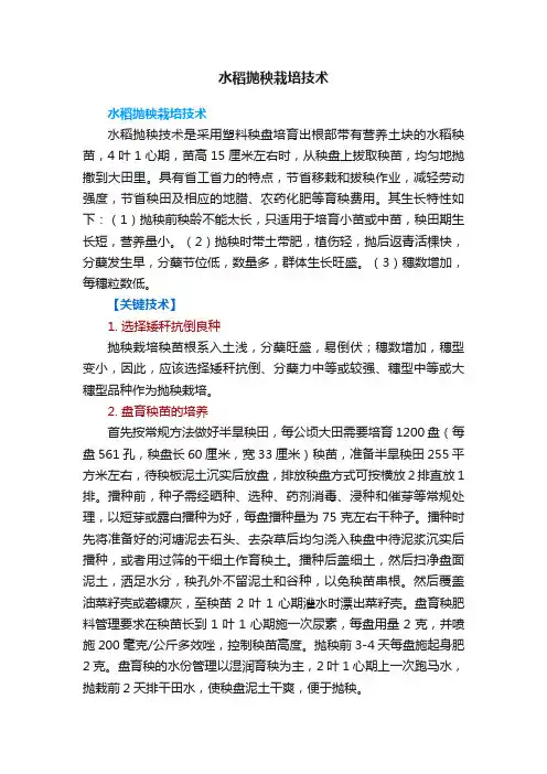水稻抛秧栽培技术