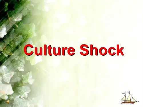 Culture shock PPT课件