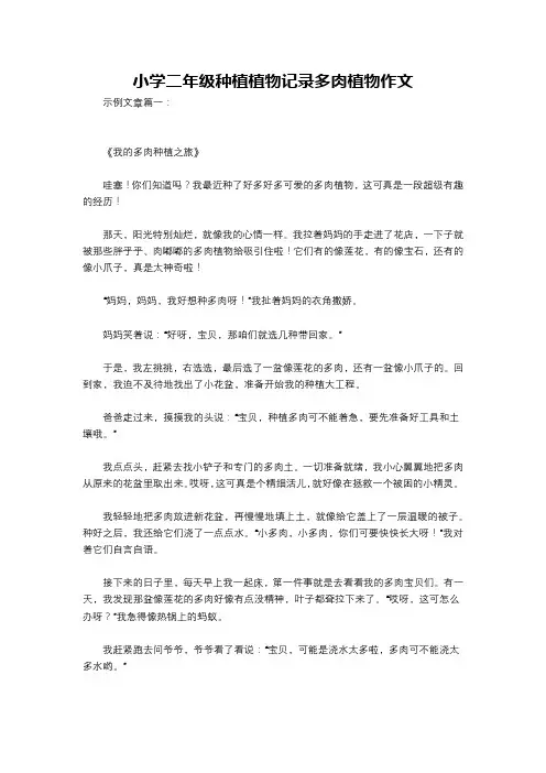 小学二年级种植植物记录多肉植物作文