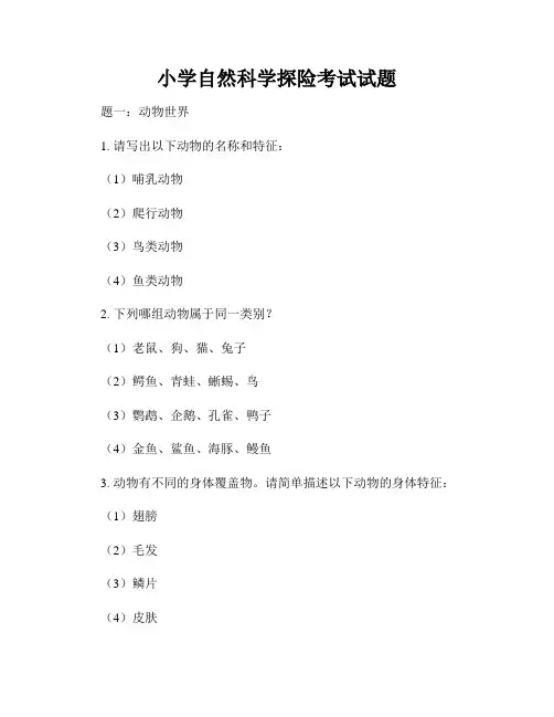 小学自然科学探险考试试题