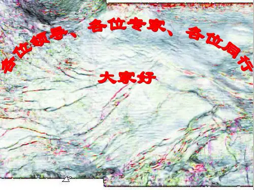 地震相干体及断层识别技术研究