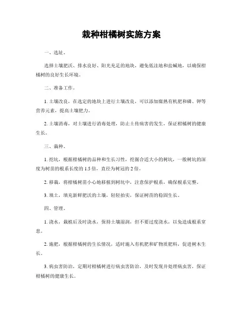 栽种柑橘树实施方案