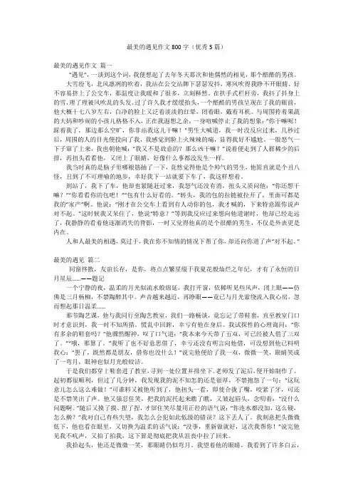 最美的遇见作文800字(优秀5篇)