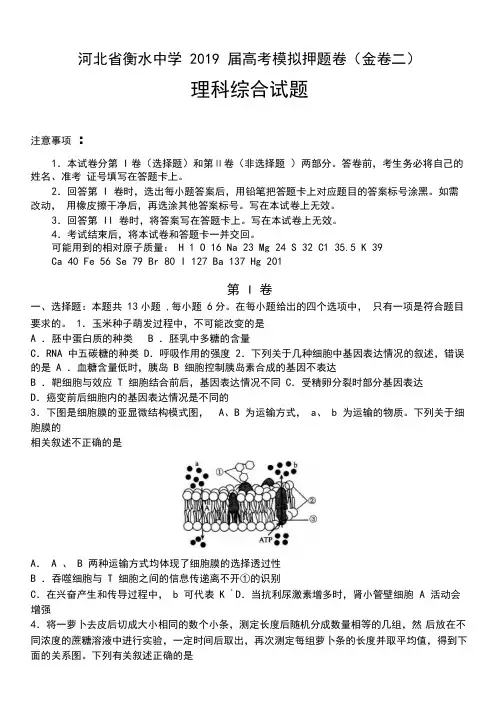 河北省衡水中学2019届高考模拟押题卷(金卷二)理综