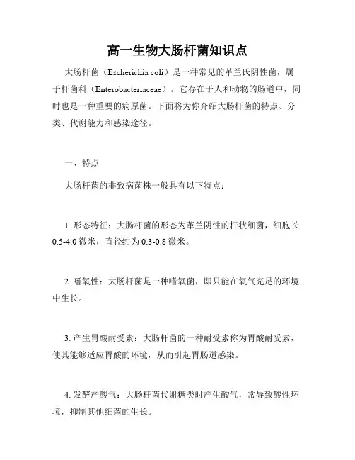 高一生物大肠杆菌知识点