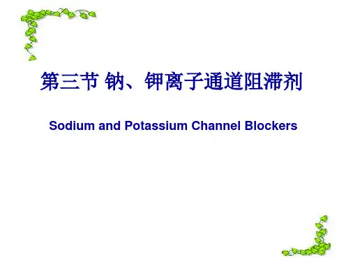 钠钾离子通道阻滞剂(共42张PPT)