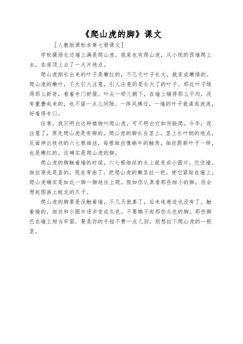 《爬山虎的脚》课文