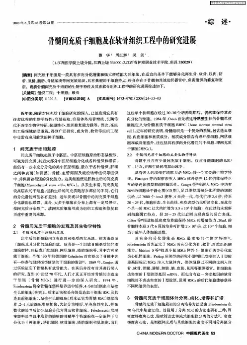 骨髓间充质干细胞及在软骨组织工程中的研究进展