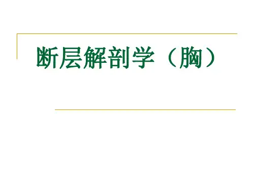 断层解剖(胸部)(1)