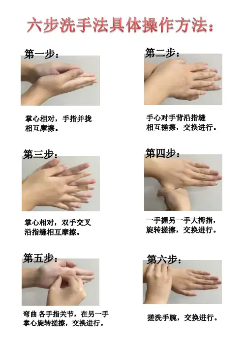 六步洗手法