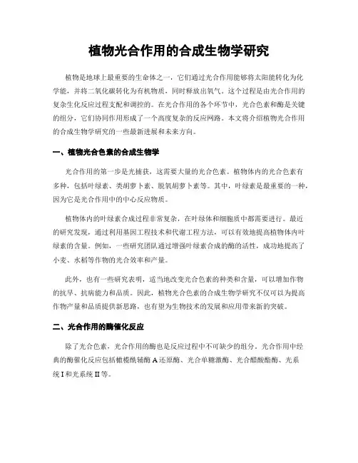 植物光合作用的合成生物学研究