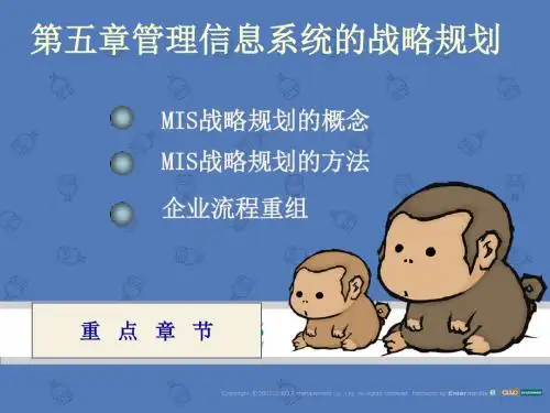 管理信息系统的战略规划ppt课件