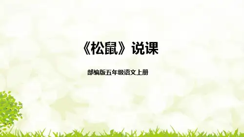 人教部编版五年级上册语文17《松鼠》说课课件