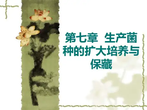 第七章  生产菌种的扩大培养与保藏