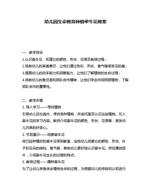 幼儿园生命教育种植牵牛花教案