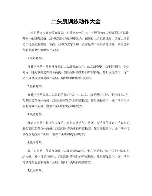 二头肌训练动作大全