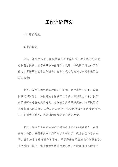 工作评价 范文