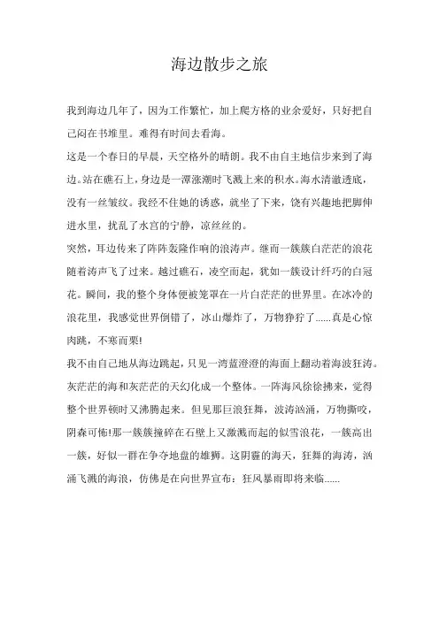 小学散文海边散步之旅