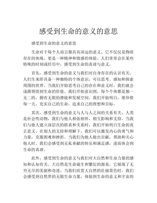 感受到生命的意义的意思