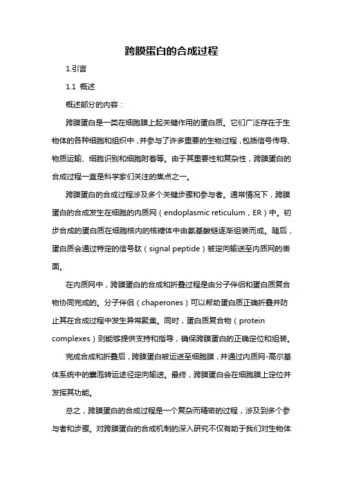 跨膜蛋白的合成过程