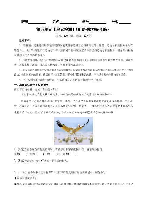 统编版2024七年级语文上册-第五单元【单元检测】(B卷 能力提升练)(原卷版+答案)精品