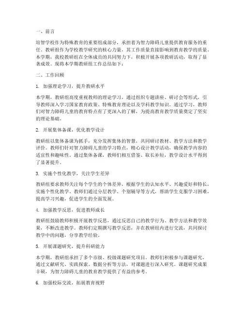 培智学校教研组工作总结