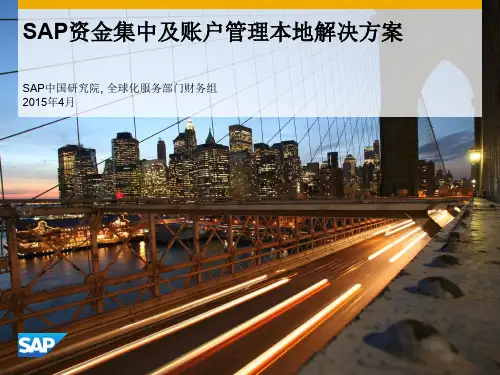 SAP资金管理解决方案 银行账户管理和资金集中 