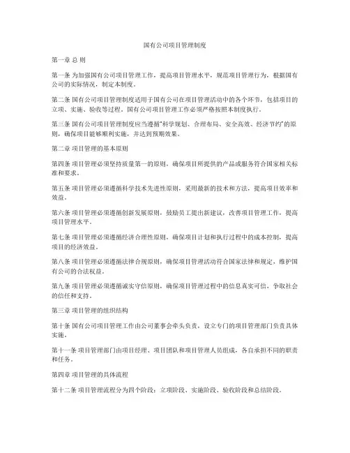 国有公司项目管理制度
