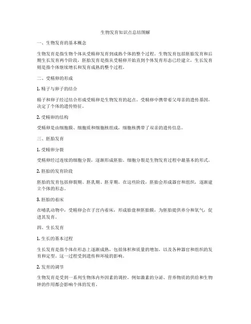 生物发育知识点总结图解