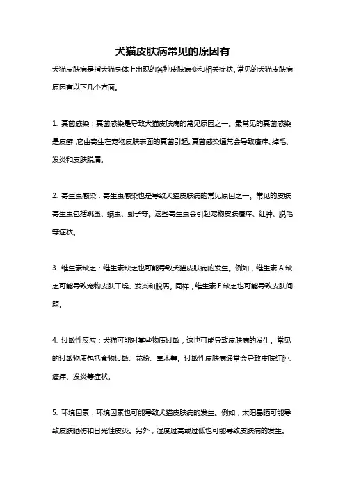 犬猫皮肤病常见的原因有