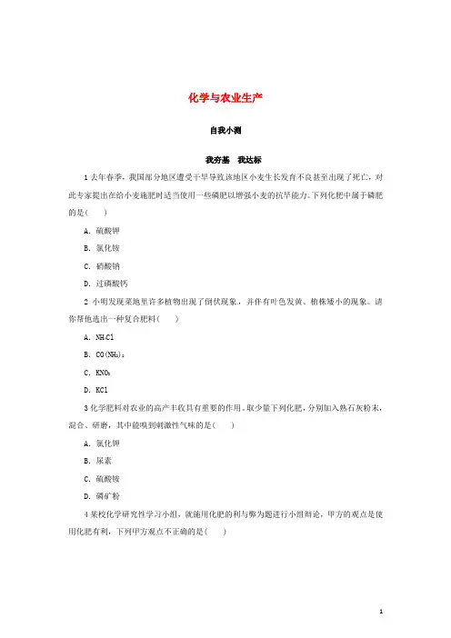 九年级化学全册 11.3 化学与农业生产自我小测试题 (新