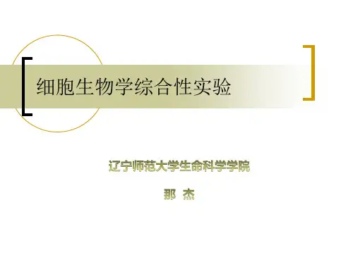 动物骨髓细胞染色体标本的制备