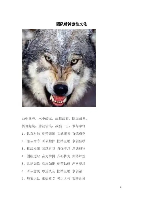 团队精神_狼性文化