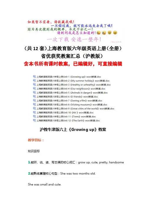 (共12套)上海教育版六年级英语上册(全册)省优获奖教案汇总(沪教版)