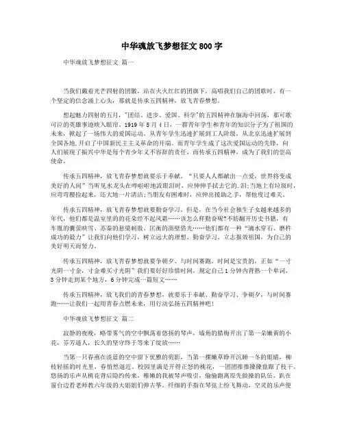 中华魂放飞梦想征文800字