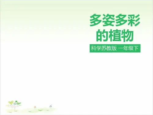 一年级下册公开课-11《多姿多彩的植物》 苏教版课件下载