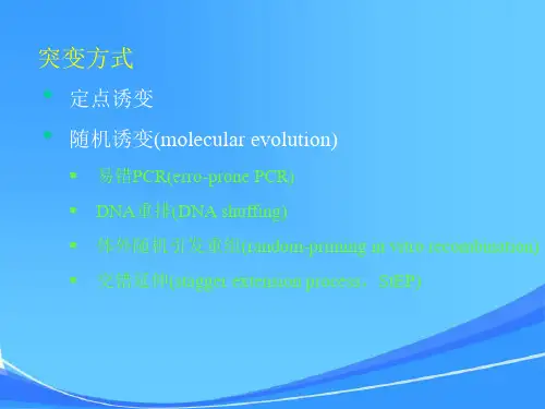 基因工程第七章DNA定点诱变