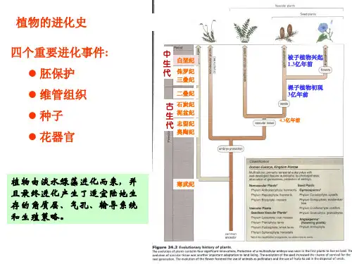 第九章生物类群3_506007893