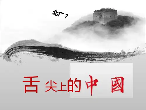 舌尖上的中国PPT课件