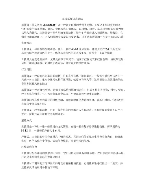 土拨鼠知识点总结