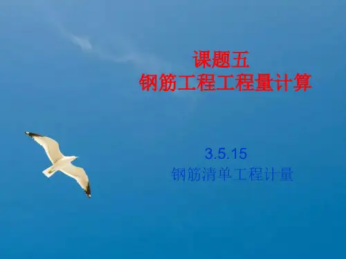 钢筋工程计量教材ppt课件