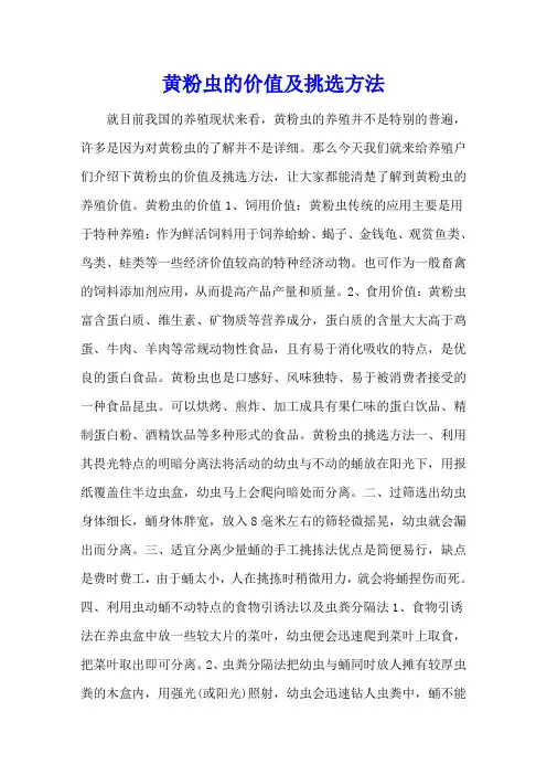 黄粉虫的价值及挑选方法