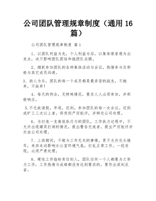 公司团队管理规章制度(通用16篇)