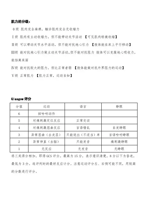 肌力的分级