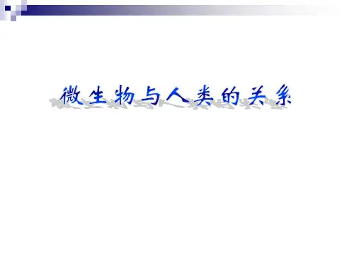 《微生物与人类的关系》PPT课件