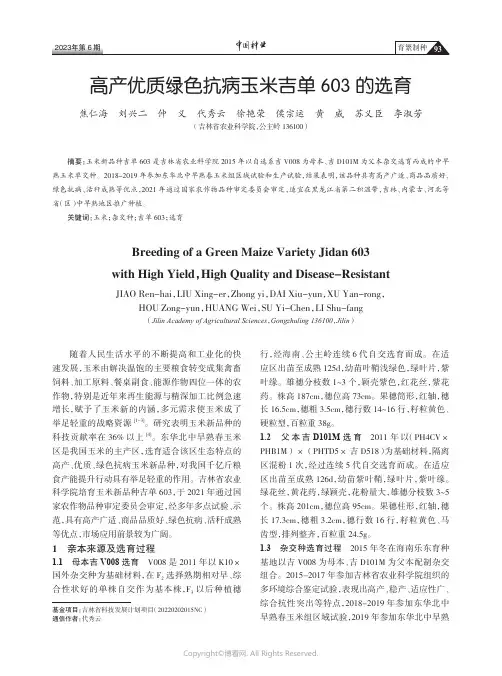 高产优质绿色抗病玉米吉单603_的选育