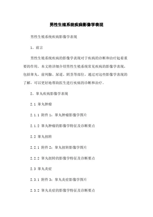 男性生殖系统疾病影像学表现