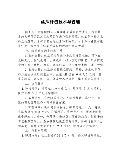 丝瓜种植技术与管理